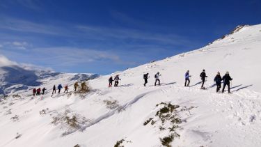 Alto Campoo - Raquetas en la nieve