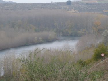 Aunque el tiempo fue un tanto ventoso, disfrutamos de una mañana estupenda por los parejes de San Gimileo a San Vicente de la Sonsierra (GR99) saliendo finalmente desde Ollauri.
