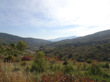 Santa Teodosia - Antoñana (Araba/Álava)
