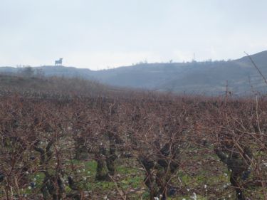 San Vicente de la Sonsierra - Baños de Ebro
