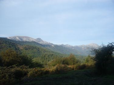 Ubidea - Zeanuri