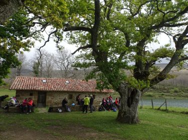 Barria - Elgea