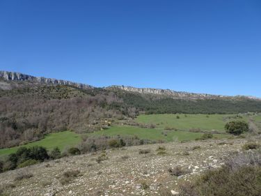 Xerndasaletasuna: Ribera - Bóveda