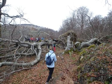 Travesía Entzia - Urbasa (Nafarroa)